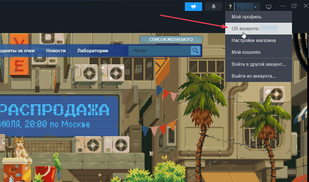 В меню Steam пункт «Об аккаунте» выделен фиолетовой рамкой